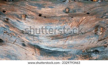 texture wood map 3d art color