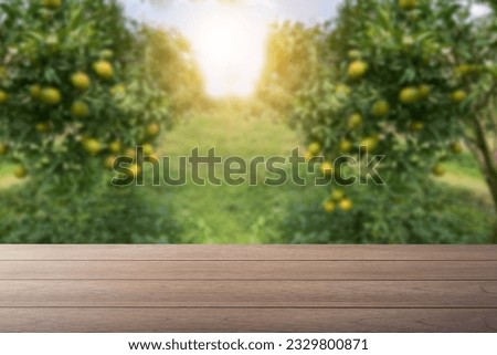 Wooden table with organic tangerine orange farm background.