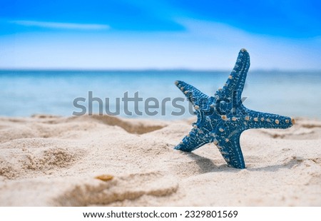 Starfish on beach sand background for summer vacation concept. Beach nature and summer seawater with sunlight light sandy beach Sparkling sea water  Royalty-Free Stock Photo #2329801569