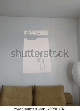 shadow on the wall in the form of a picture