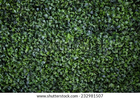 plastic green texture wall background