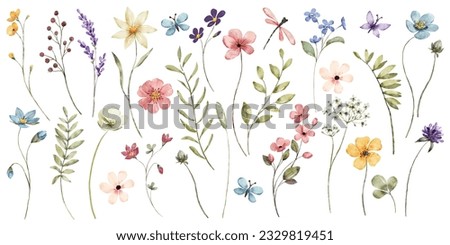 Flowers and leaves set, floral watercolor illustration for greeting card, invitation and other printing design. Isolated on white. Hand drawing.