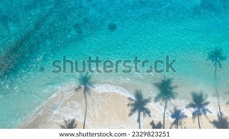 Summer palm tree  and Tropical beach with blue  sky background