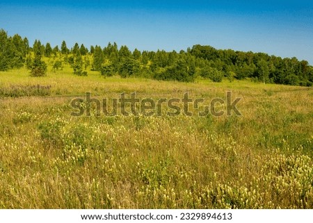 Meadows and forests of Samarskaya Luka National Park!