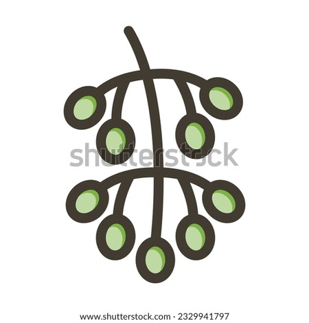 Hackberry Thick Line Filled Colors For Personal And Commercial Use.
 Royalty-Free Stock Photo #2329941797