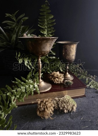 Witch Chalices and ferns on a book Moody Still Life Royalty-Free Stock Photo #2329983623