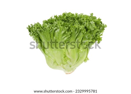 PNG, fresh summer food - lettuce isolated on white background Royalty-Free Stock Photo #2329995781