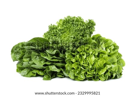 PNG, fresh summer food - lettuce isolated on white background Royalty-Free Stock Photo #2329995821