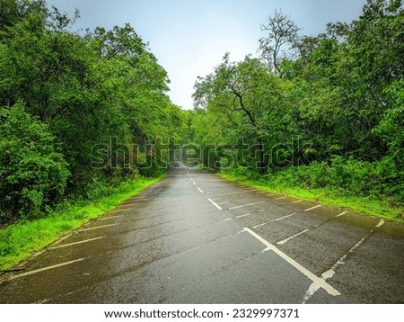 Central Java, Indonesia - July 8, 2023 : Rural road with wet asphalt after rain in countryside scenery of forest.