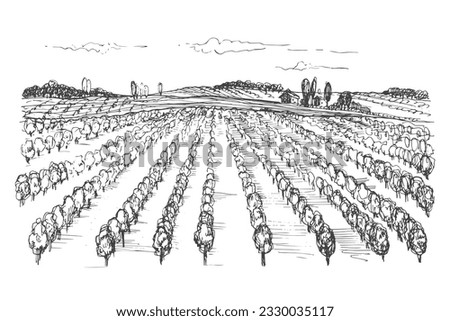 Vineyard landscape drawing. Hand drawn vector illustration of grape plant on isolated white background for print, label, poster, brochure, template, banner, logo.Design element vine, imitation ink Royalty-Free Stock Photo #2330035117