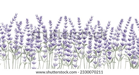 Lavender seamless Border on white isolated background. Hand drawn watercolor illustration of Provence flowers for Frames. Floral Lavandula pattern for banner or botanical design. Botanical backdrop.