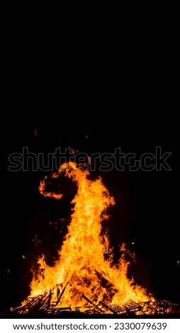 big bonfire on the beach at night with beatiful forms on the high flames