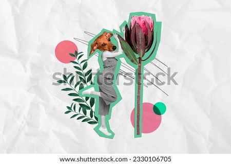 Creative collage illustration picture of headless girl absurd dog dachshund flower international women day isolated on white background