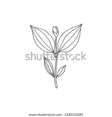 Logo element, clipart, nature, outline, tattoo, handdrawn, drawing