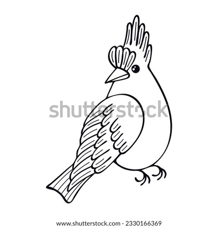 Bird red cardinal line art. Cute little forest bird. Exotic feathered. Hand drawn vector sketch illustration.