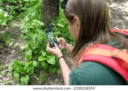 Woman tourist with backpack takes pictures of flower in the forest. Close-up.
