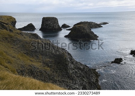 Sea mounts off of the coastal cliffs as both are worn away by plants groing on them and weather and sea erosion. Royalty-Free Stock Photo #2330273489