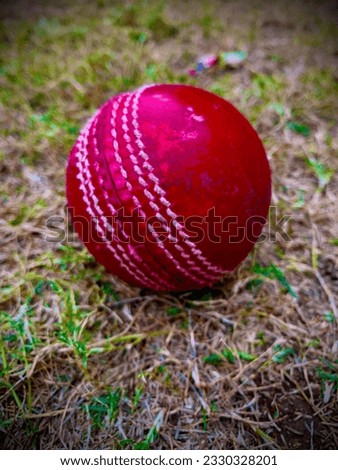 Cricket ball leather hard circle stitch close-up new isolated on grass background. This has clipping path.