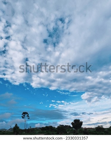Forest view with blue sky and white clouds during the day. beautiful and bright 