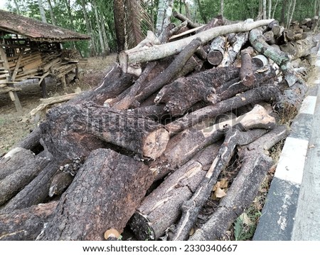 Piles of logs from felled trees on the side of the road