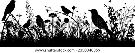 Meadow with birds, flowers, grass and wild herbs. Vector isolated silhouette of summer field.  Horizontal border.