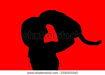 Silhouette of unrecognizable woman with her cat on red background, with copyspace. Beauty and animal love concept.