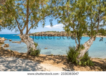 Trees on the shore of the bay and sea view on the background, Agioi Apostoloi village, Daratsos, Chania, Crete, Greece