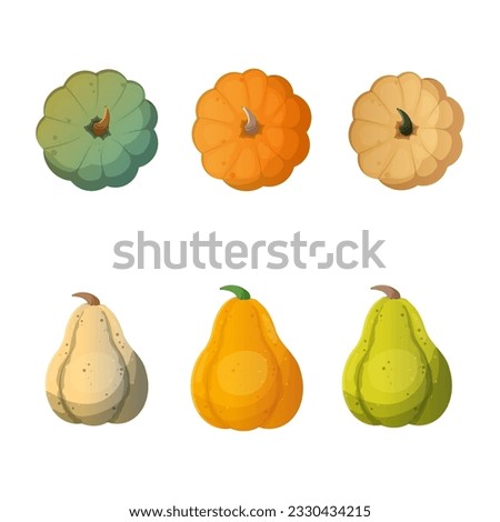 Set of pumpkins of different colours and sizes