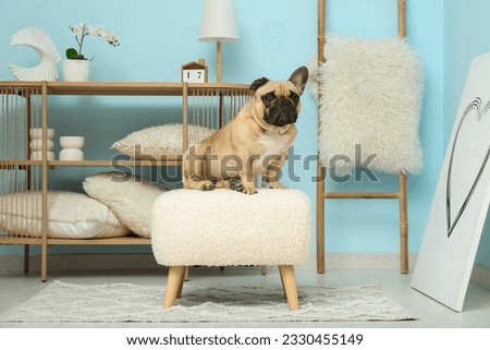 Cute French bulldog on pouf in living room Royalty-Free Stock Photo #2330455149