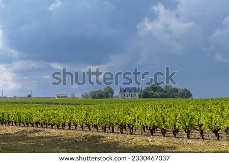 Vineyards near Margaux (Chateau Margaux), Bordeaux, Aquitaine, France Royalty-Free Stock Photo #2330467037