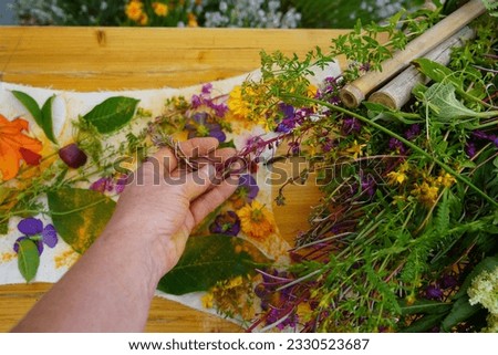 Old Japanese Printing Technology "Flower Pounding" Or "Tataki Zomé". Japanese Creative Workshop With Natural Materials. Female Hand, Summer Plant And Art Equipment On The Wood Table In The Garden. Royalty-Free Stock Photo #2330523687
