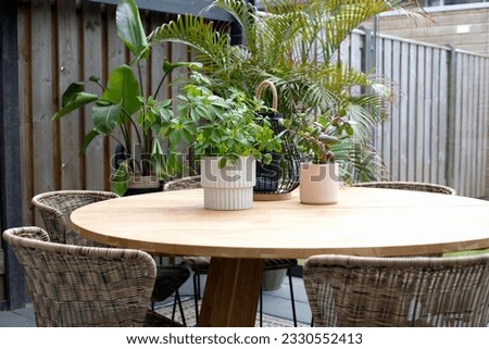 Garden furniture on cozy patio with green plants, summer terrace decoration. outdoors patio settings area stylish