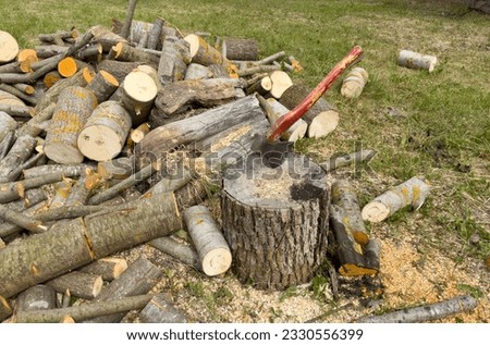 Firewood for heating the stove in house. Preparation of firewood in village for heating the house in winter. Ax for chopping wood. Axe in stump for cutting timber. Lumberjack axe for chopping timber.