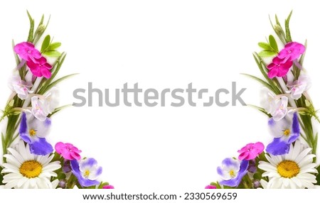 Pattern of daisies, phlox and violets isolated on white background. There is a place for the text of congratulations.