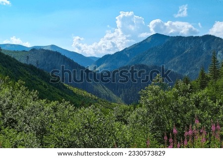 Scenic mountain views on a sunny day, selective focus