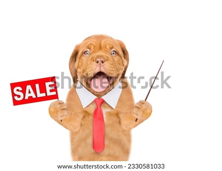 Smart Mastiff puppy wearing   necktie shows signboard with labeled "sale" and points away on empty space. isolated on white background