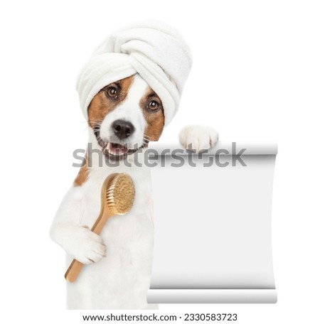 jack russell terrier puppy with towel on his head holds bath brush and shows empty list. isolated on white background Royalty-Free Stock Photo #2330583723
