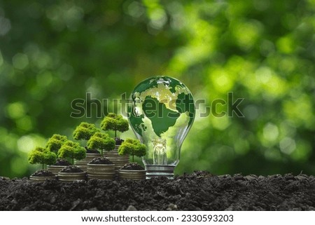 Tree on a pile of silver coins and a light bulb with a world map Green business concept, finance and investment for sustainability and carbon credit.