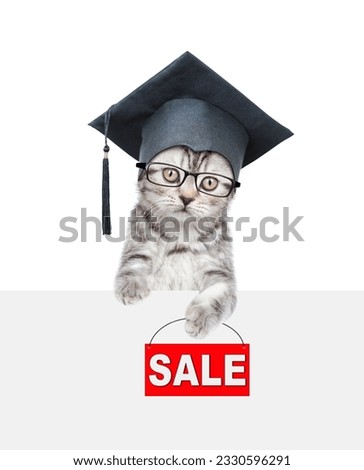 Happy graduated cat wearing eyeglasses looks above empty white banner and  holds signboard with labeled "sale". isolated on white background