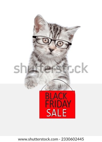 Smart tabby cat  holds signboard with labeled "black friday sale" above empty white banner. isolated on white background