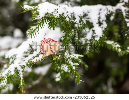 Branch of evergreen spruce with small retro gift. Winter snowing picture