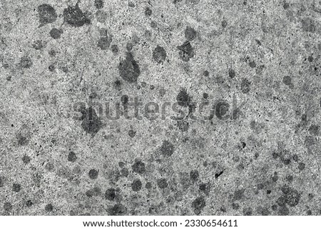 bottlecapped photograph of a black and white cat on a concrete surface.