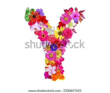 Y shape made of various kinds of flowers petals isolated on transparent background, PNG