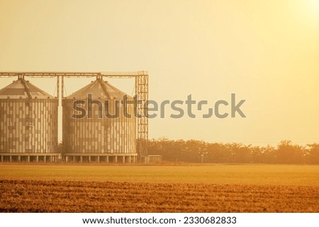 Silos and granary elevator. Modern agro-processing manufacturing plant with grain-drying complex. processing, drying, cleaning, and storing agricultural products in wheat, rye or corn fields Royalty-Free Stock Photo #2330682833