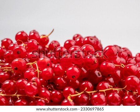 Ripe red currant on a light background. Currant closeup