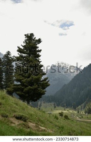 Beautiful landscape view at Pahalgam Kashmir India 