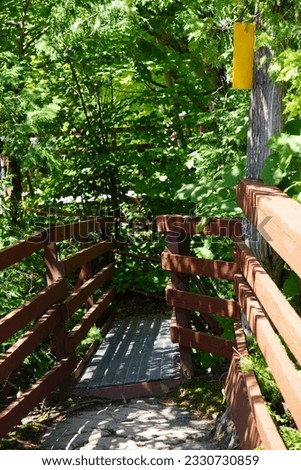 Wooden pathway in forest, southern ontario, scenic caves hike 