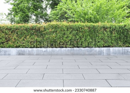 Garden, beautifully trimmed shrubs gray tile floor Multipurpose yard Suitable for a walk or picnic. Royalty-Free Stock Photo #2330740887