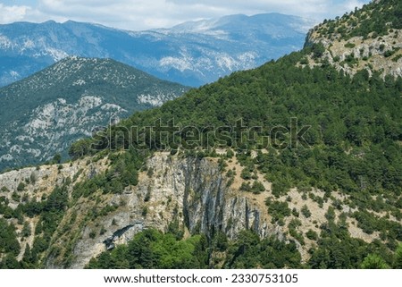 forest and rocky photo taken in denizli