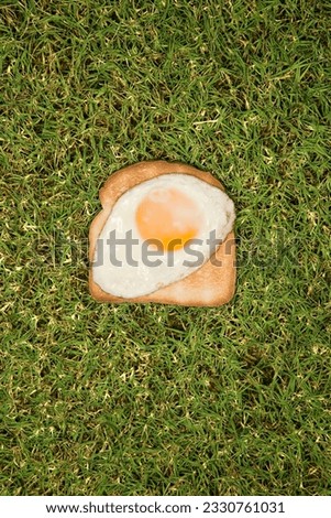 Fried egg on toast in grass.